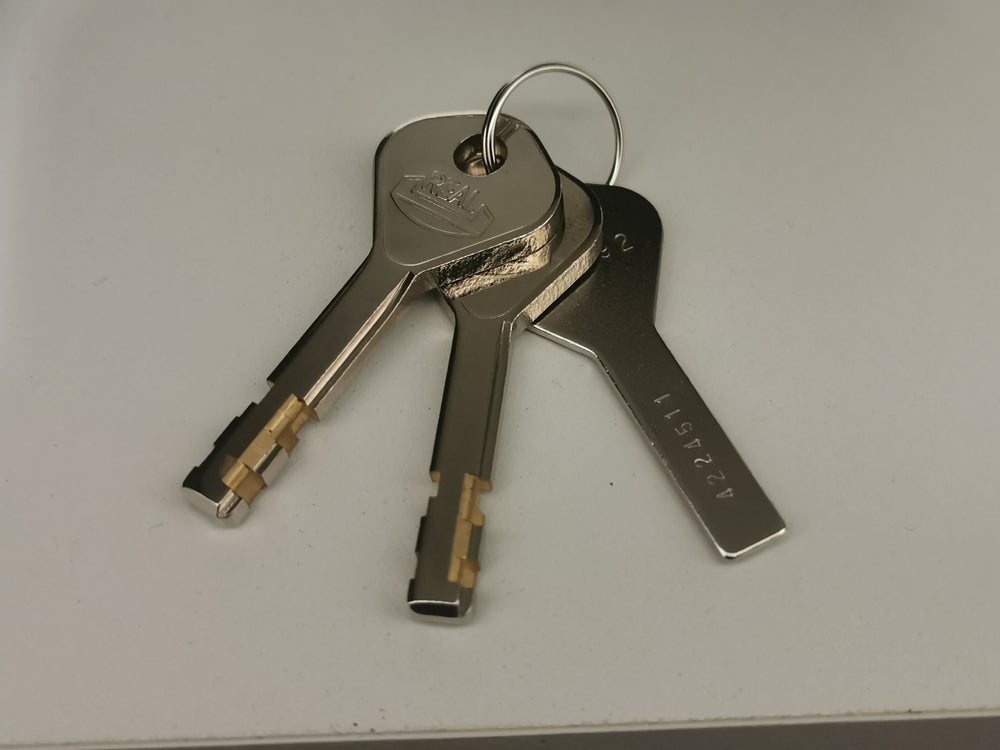 Key (1 set of 2 keys)